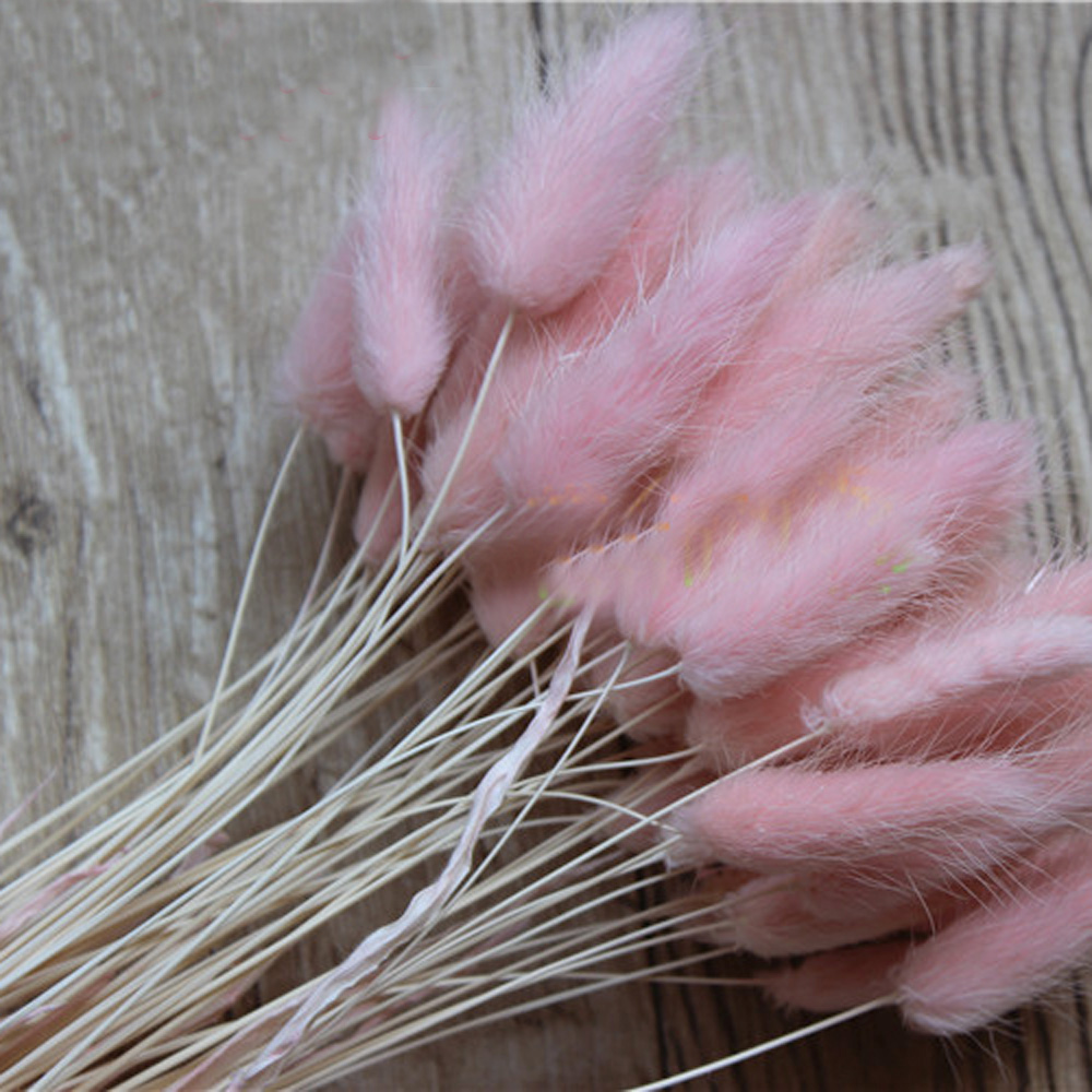 50pcs dried natural flower bou – обзор и цена Dried Flower Bunch