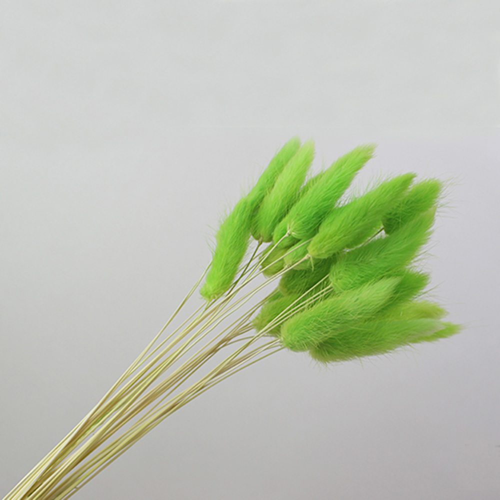 50pcs dried natural flower bou – обзор и цена Dried Flower Bunch