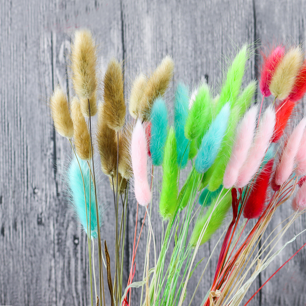50pcs dried natural flower bou – обзор и цена Dried Flower Bunch