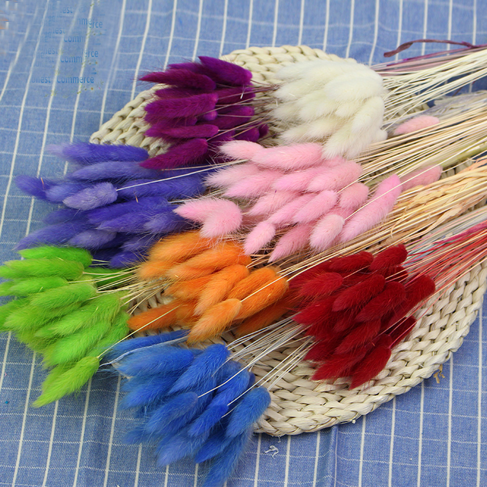 50pcs dried natural flower bou – обзор и цена Dried Flower Bunch