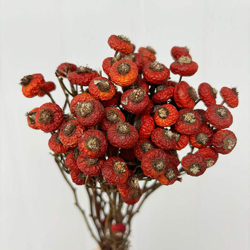 10pcs/Bunch Dried Rose Hip Ber – обзор и цена Dried Flower Bunch