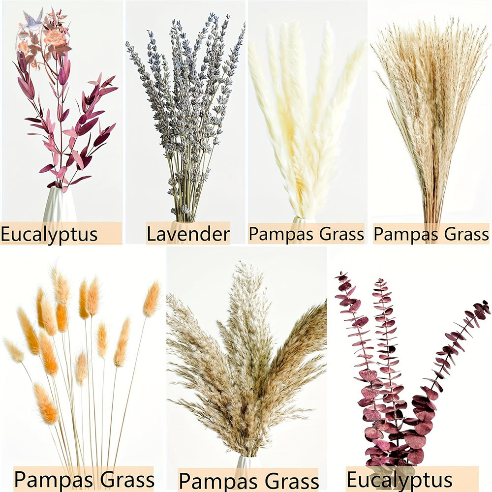 75PCS Dried Pampas Eucalyptus  – обзор и цена Dried Flower Bunch