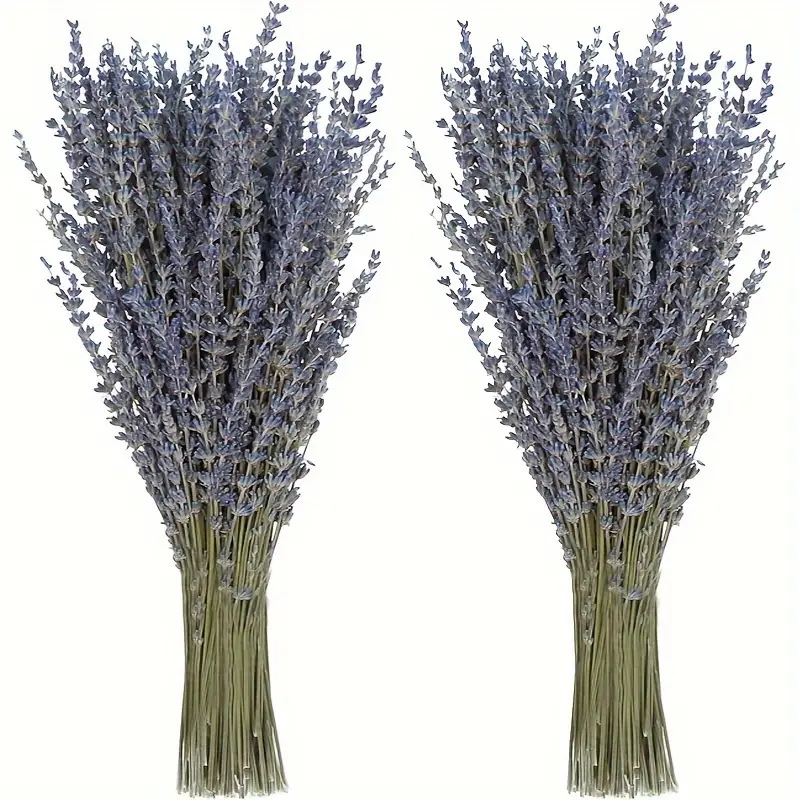 200pcs/Bunch Lavender Dried Fl – обзор и цена Dried Flower Bunch