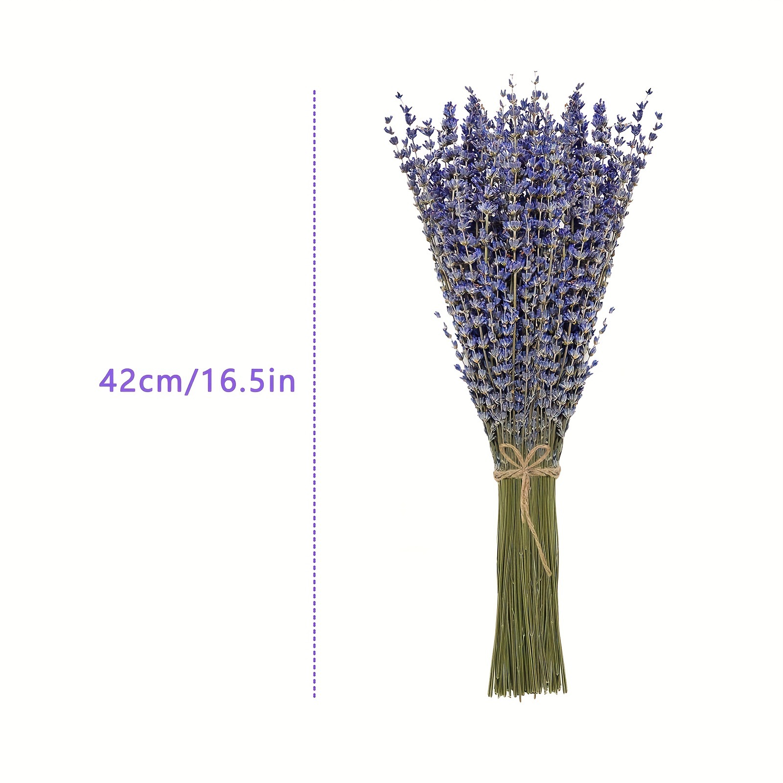 200pcs/Bunch Lavender Dried Fl – обзор и цена Dried Flower Bunch