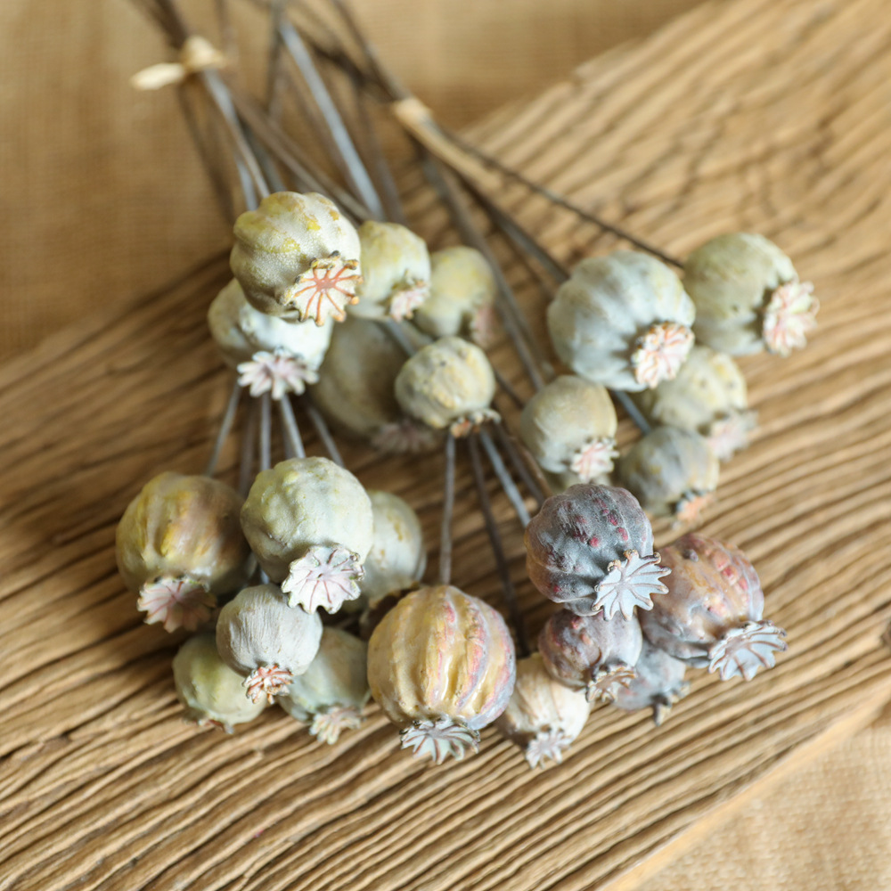 6Heads Poppies Fruit Dried Flo – обзор и цена Dried Flower Bunch