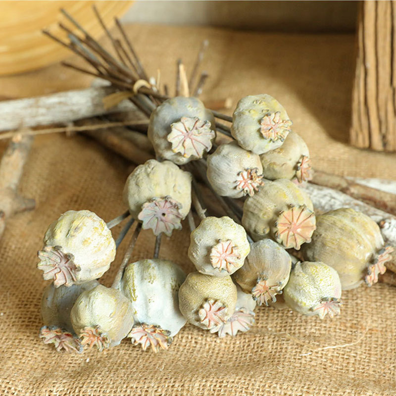 6Heads Poppies Fruit Dried Flo – обзор и цена Dried Flower Bunch