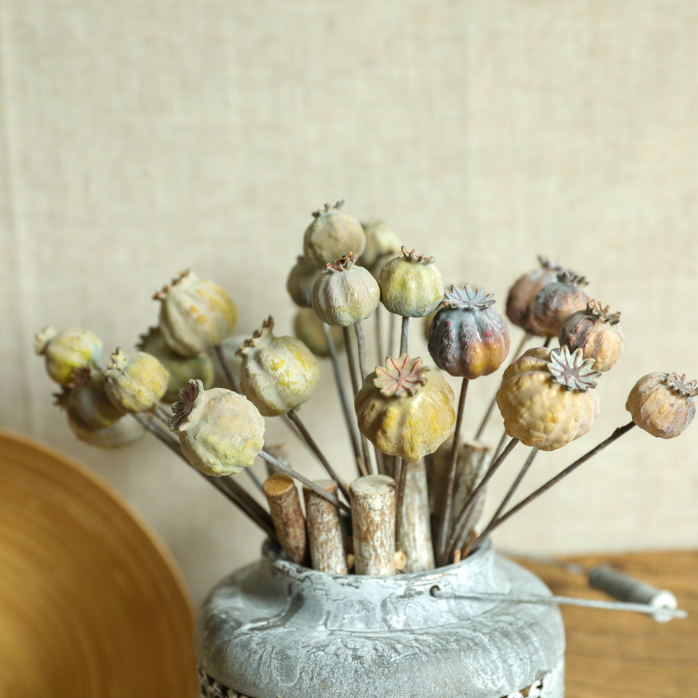 6Heads Poppies Fruit Dried Flo – обзор и цена Dried Flower Bunch