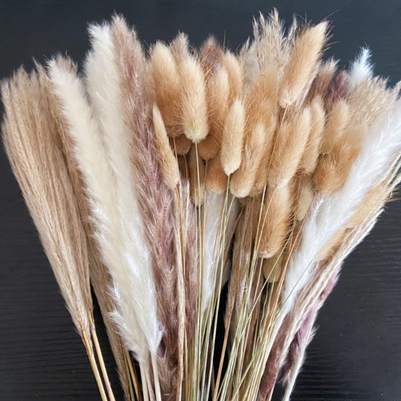 Bulk 100PCS Dried Pampas Grass – обзор и цена Dried Flower Bunch