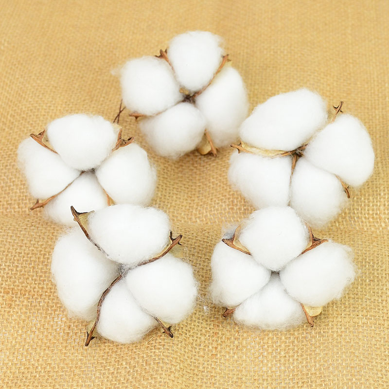 10Pcs White Cotton Florist Sup – обзор и цена Florist Wreath Supply