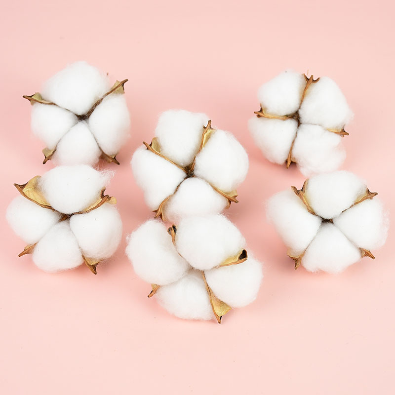 10Pcs White Cotton Florist Sup – обзор и цена Florist Wreath Supply