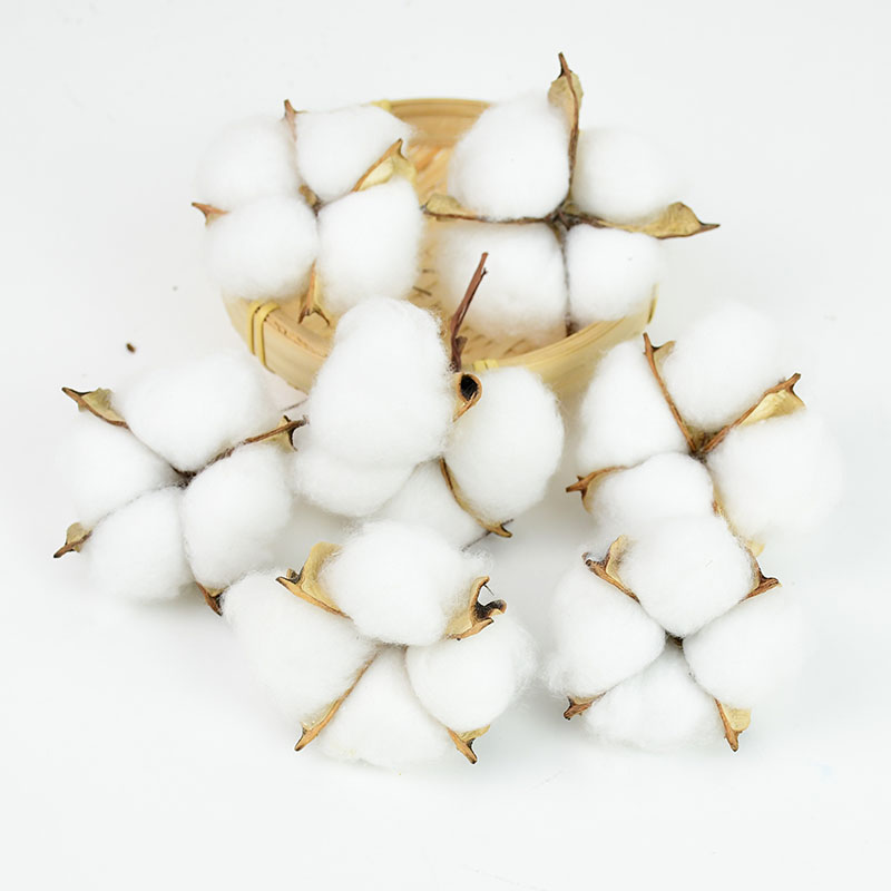 10Pcs White Cotton Florist Sup – обзор и цена Florist Wreath Supply