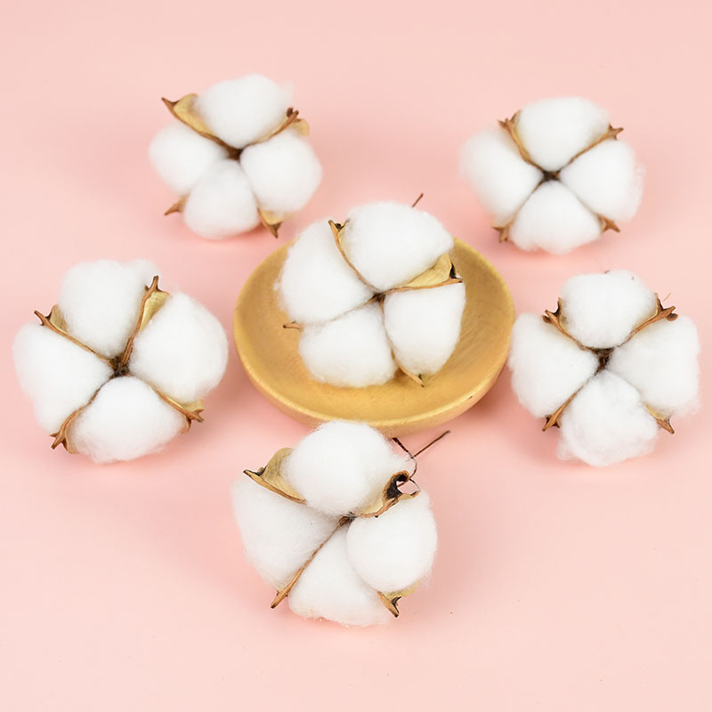 10Pcs White Cotton Florist Sup – обзор и цена Florist Wreath Supply
