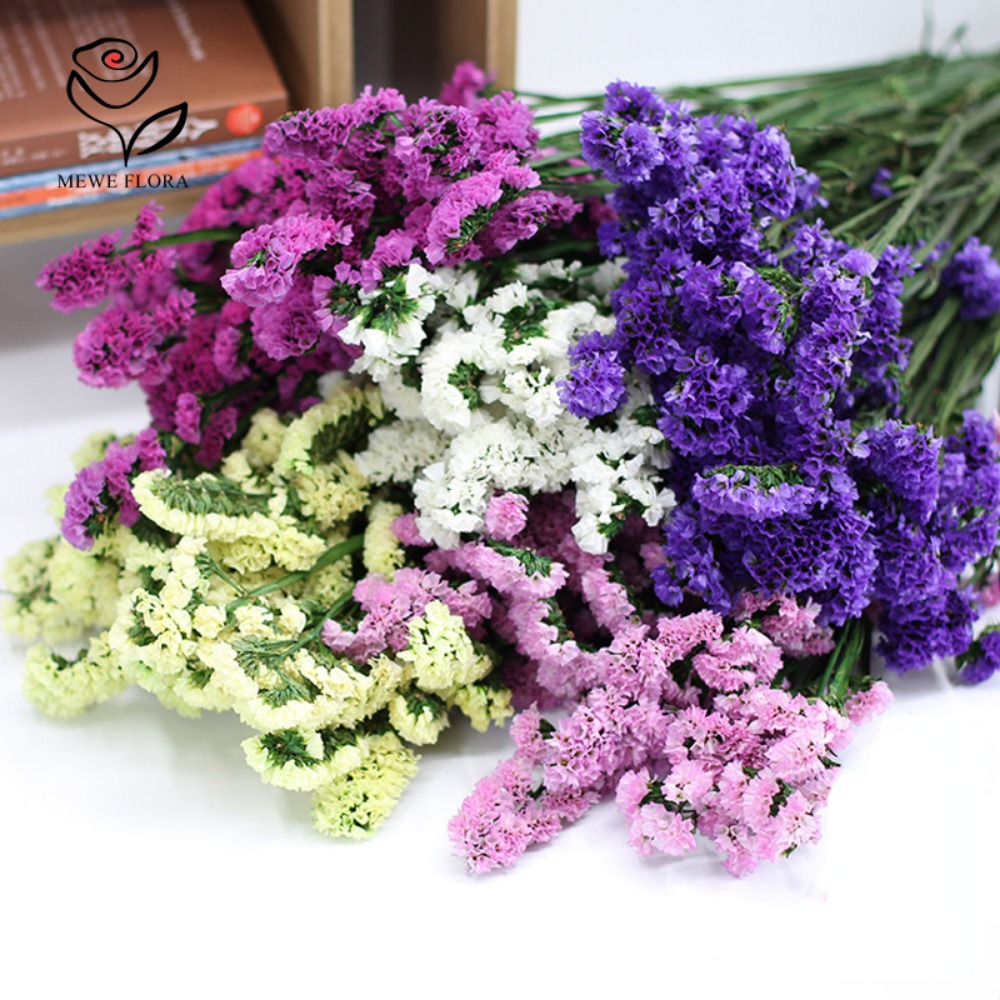 100g Dried Forget Me Not Flowe – обзор и цена Dried Flower Bunch