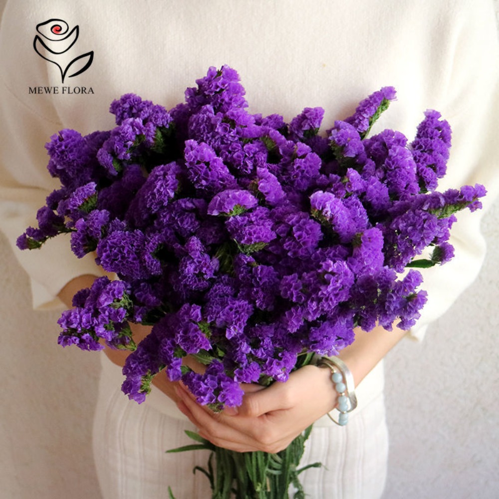 100g Dried Forget Me Not Flowe – обзор и цена Dried Flower Bunch
