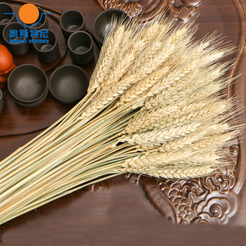 50pcs natural dried flower bou – обзор и цена Dried Flower Bunch