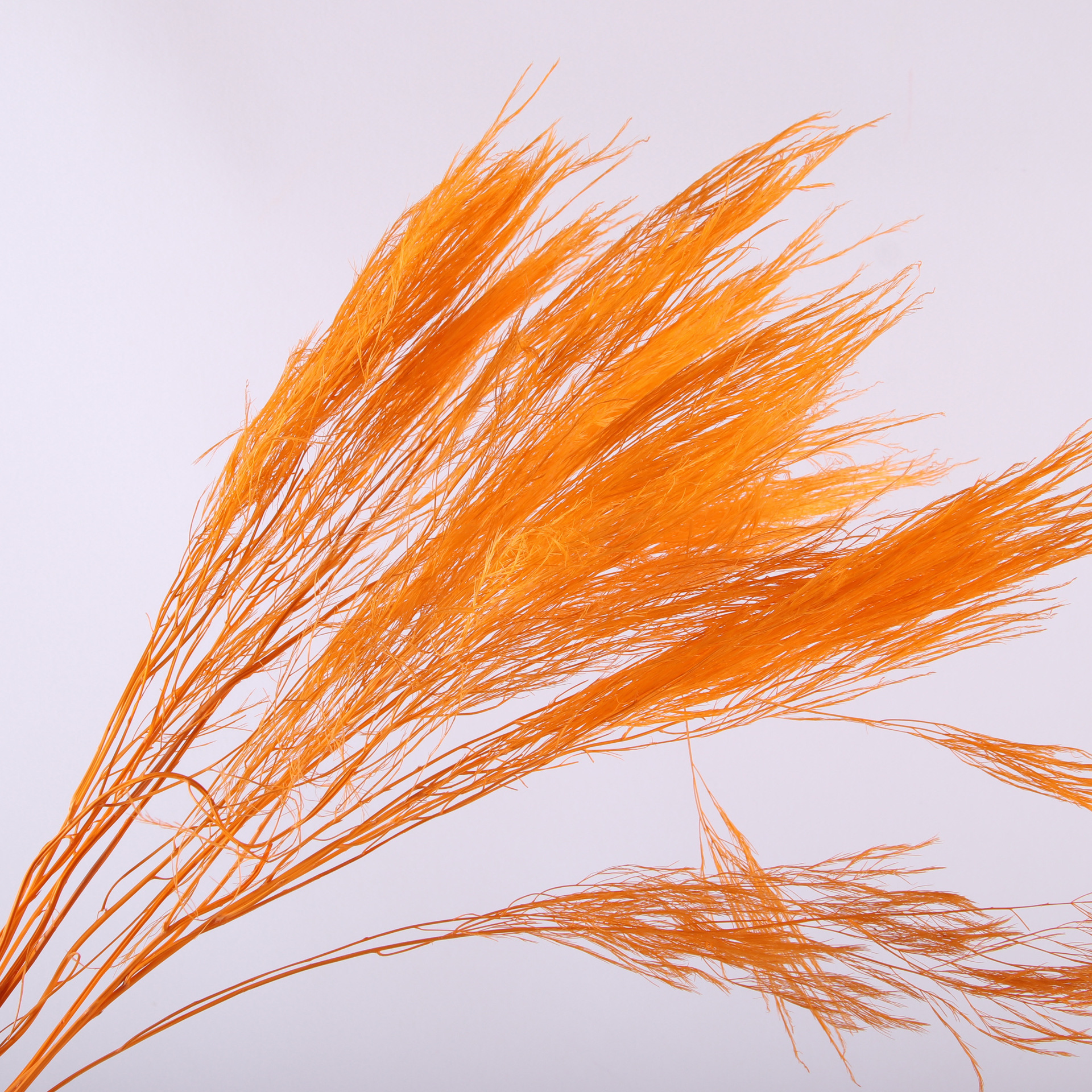 10pcs/bunch Dried Flower Bouqu – обзор и цена Dried Flower Bunch