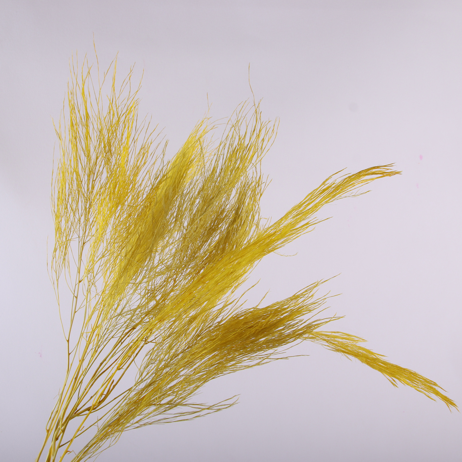 10pcs/bunch Dried Flower Bouqu – обзор и цена Dried Flower Bunch